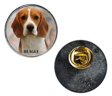 Pin med Beagle