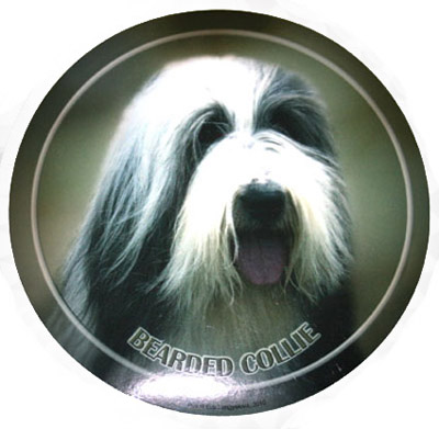 Dekal med Bearded Collie