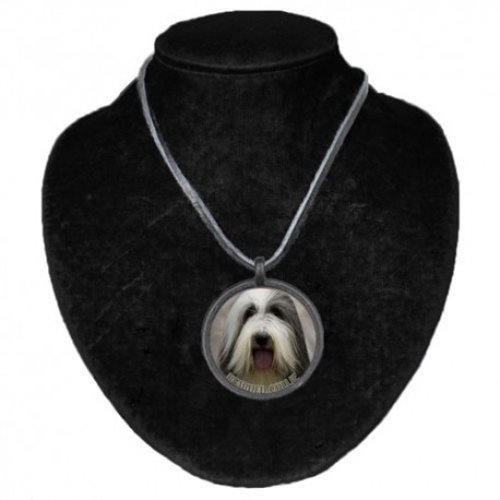 Halsband med Bearded Collie