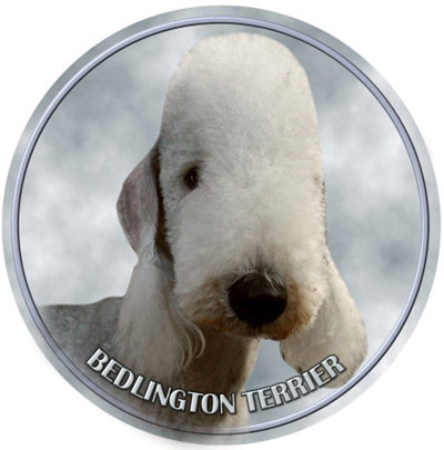 Dekal med Bedlingtonterrier