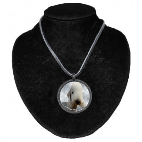 Halsband med Bedlingtonterrier