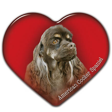 Dekal med Amerikansk Cocker Spaniel