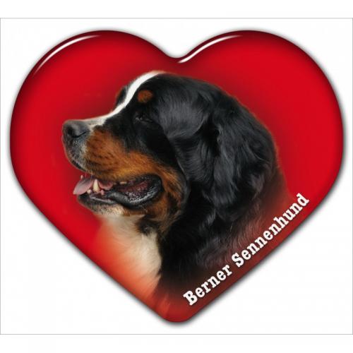 Dekal med Berner Sennen