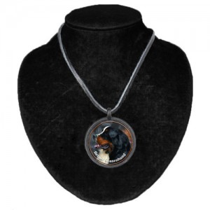 Halsband med Berner Sennenhund