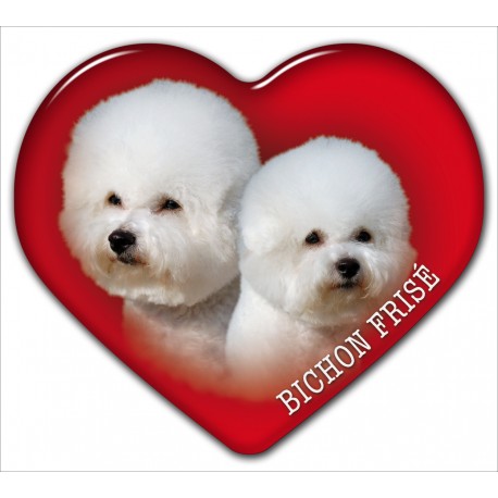 Dekal med Bichon Frisé