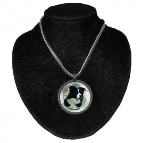 Halsband med Border Collie