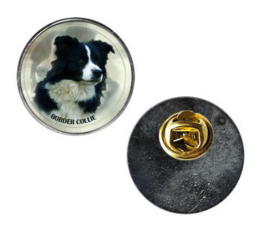 Pin med Border Collie
