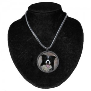 Halsband med Border Collie