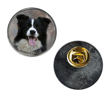 Pin med Border Collie