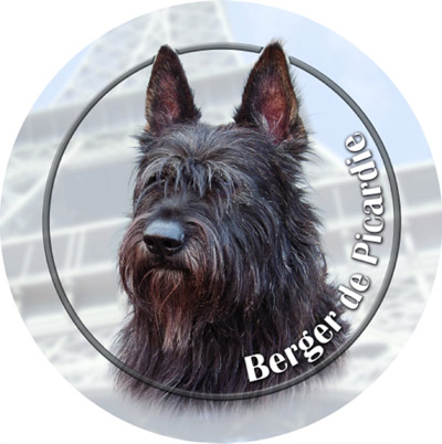 Dekal med Berger Picard