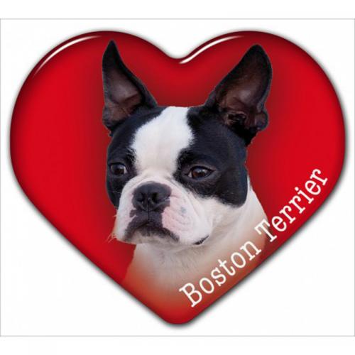Dekal med Bostonterrier