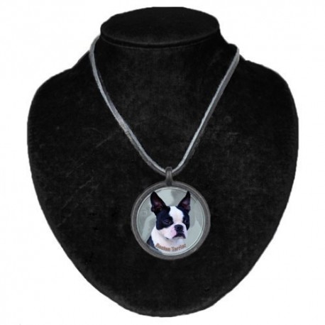 Halsband med Bostonterrier