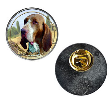 Pin med Bracco Italiano