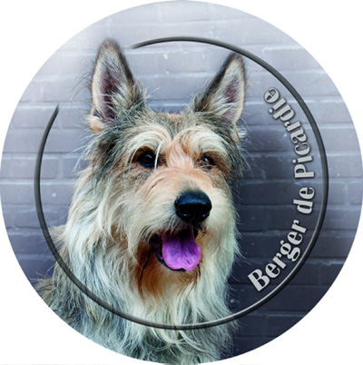 Dekal med Berger Picard