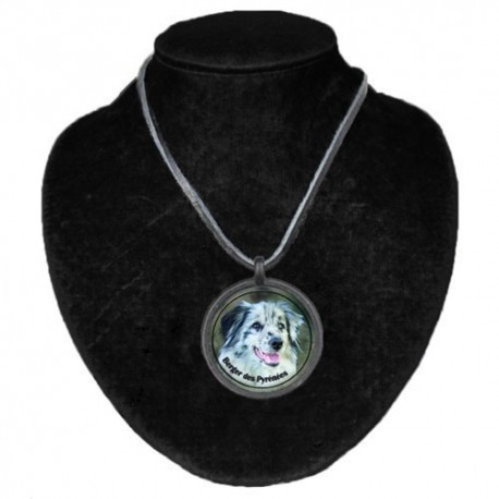 Halsband med Berger des Pyrénées à poil long