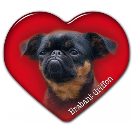 Dekal med Petit Brabancon