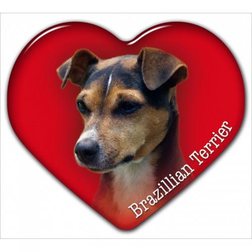 Dekal med Terrier Brasileiro