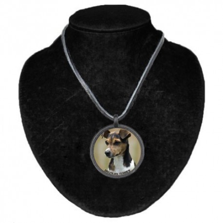 Halsband med Terrier Brasileiro