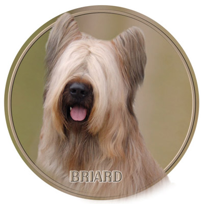 Dekal med Briard