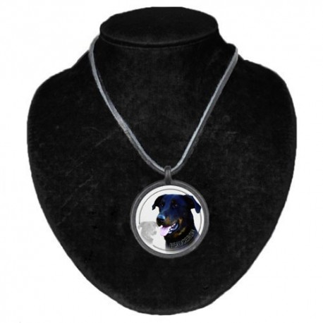 Halsband med Beauceron