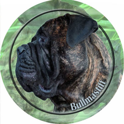 Dekal med Bullmastiff