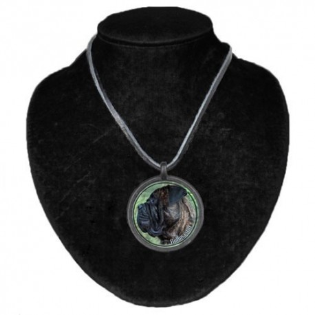 Halsband med Bullmastiff