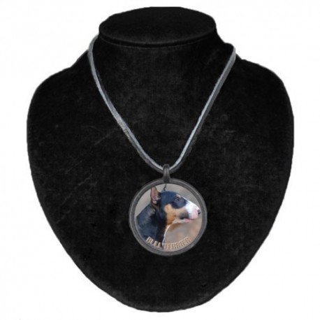 Halsband med Bullterrier
