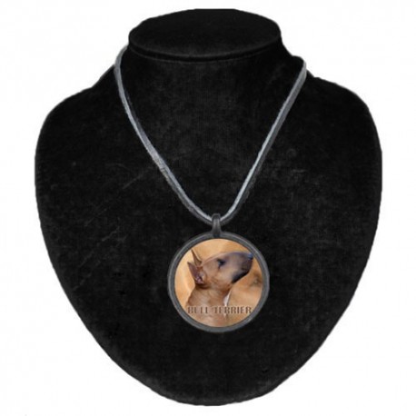 Halsband med Bullterrier