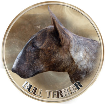 Dekal med Bullterrier