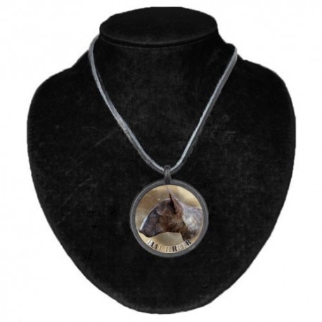 Halsband med Bullterrier