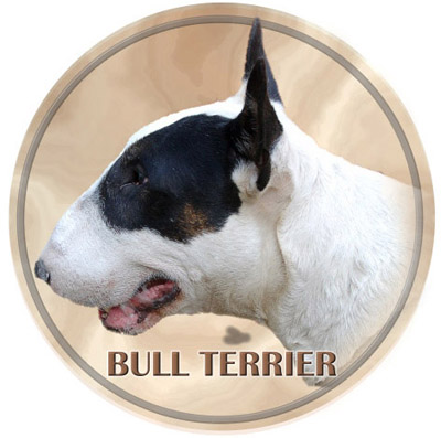 Dekal med Bullterrier