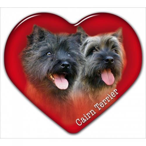 Dekal med Cairnterrier
