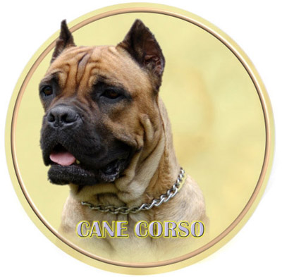 Dekal med Cane Corso