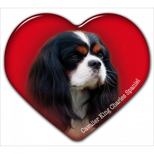 Dekal med Cavalier King Charles
