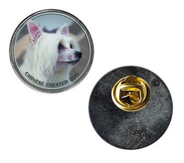 Pin med Chinese  Crested