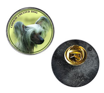 Pin med Chinese  Crested
