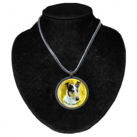 Halsband med Korthårig Collie