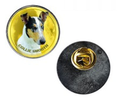 Pin med Korthårig Collie