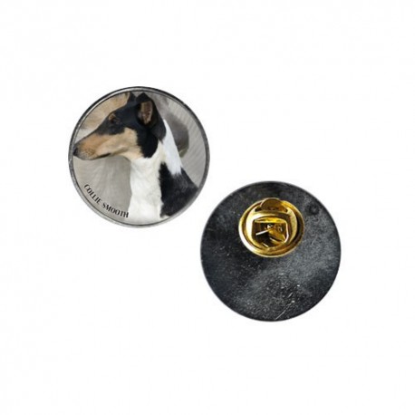 Pin med Korthårig Collie