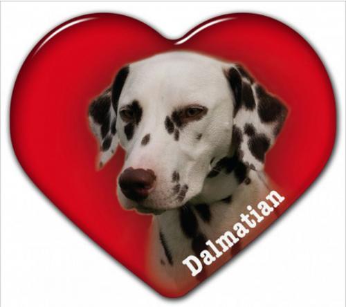 Dekal med Dalmatiner