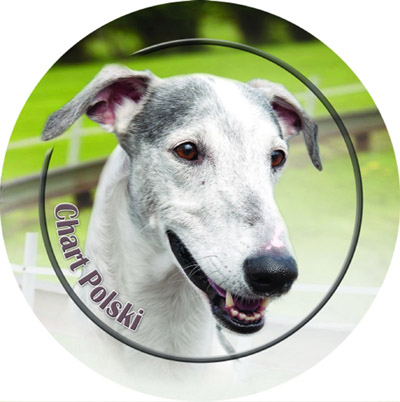 Dekal med Chart Polski