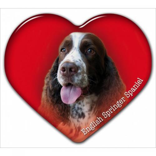 Dekal med Engelsk Springer Spaniel