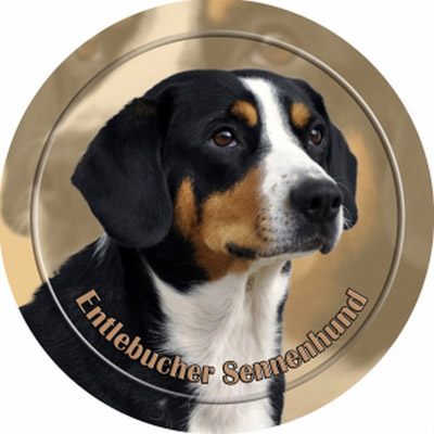 Dekal med Entlebucher Sennenhund