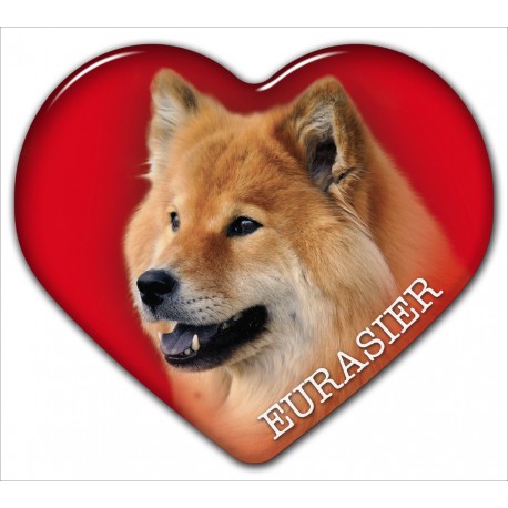 Dekal med Eurasier