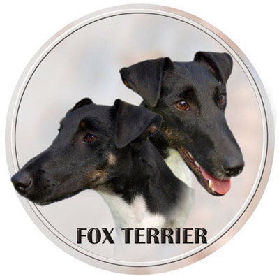 Dekal med Släthårig Foxterrier