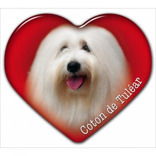 Dekal med Coton de Tuléar