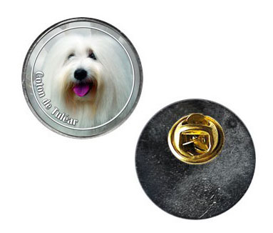 Pin med Coton de Tuléar