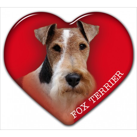 Dekal med Strävhårig Foxterrier