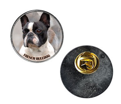 Pin med Fransk Bulldogg