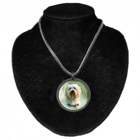 Halsband med Bichon Havanais